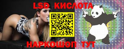 прущие крисы Донецк