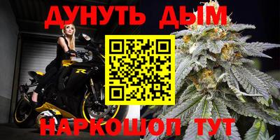 прущие грибы Обнинск