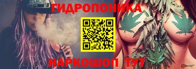 прущие крисы Донецк