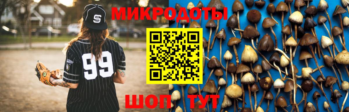 Галлюциногенные грибы прущие грибы  закладки  Маркс  Вход с VPN  Псилоцибиновые грибы Magic Shrooms 
